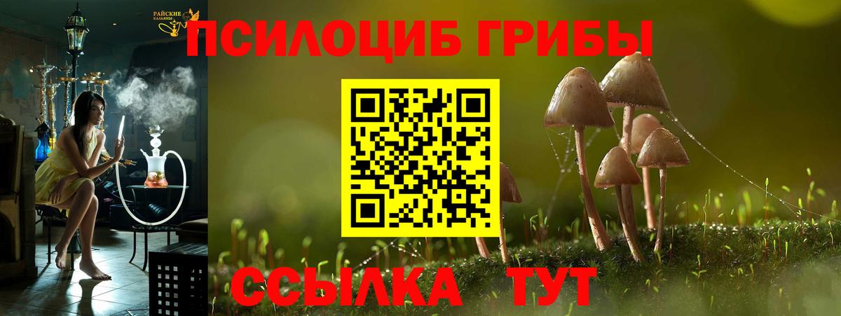 Печора  Галлюциногенные грибы мухоморы  Вход с VPN 